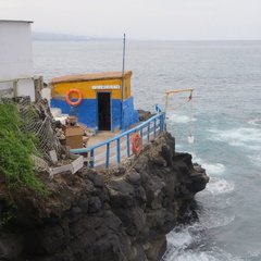 IMG 8875