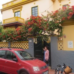 IMG 8955