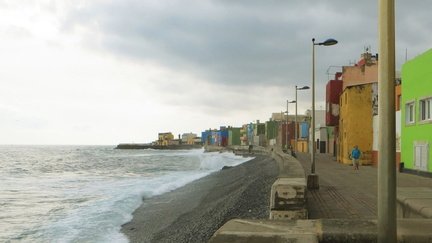 IMG 8958