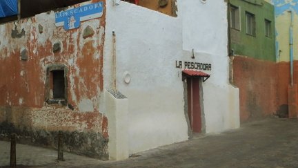 IMG 8959