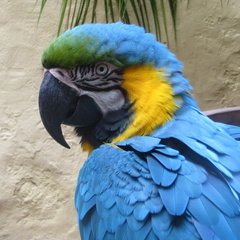 IMG 8966
