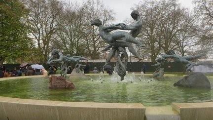 IMG 8645