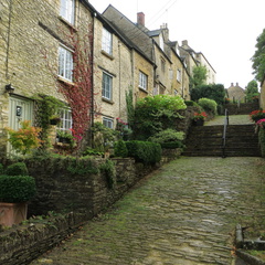 IMG 0031