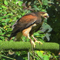 IMG 0093