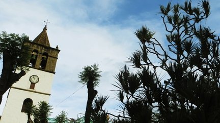 IMG 0649