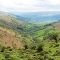 IMG 0922