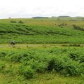 IMG 3764