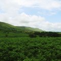 IMG 3783