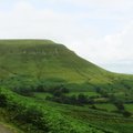 IMG 3790