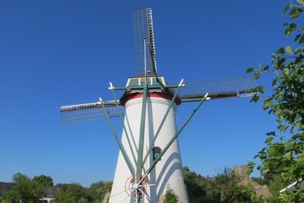 IMG 4074