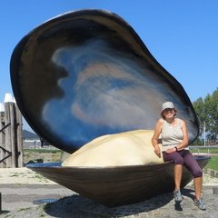 IMG 4078