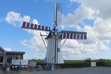 IMG 4096