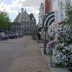 IMG 4100