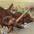 IMG 4156