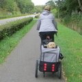IMG 4161