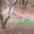 IMG 4162