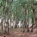 IMG 4163