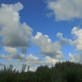 IMG 4165