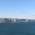IMG 4168