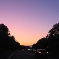 IMG 4169