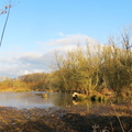 IMG 4495