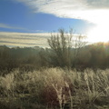 IMG 4505