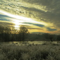 IMG 4503b