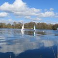 IMG 4863