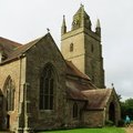 IMG 5536