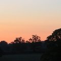 IMG 5560