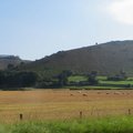 IMG 5831