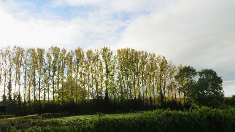 IMG_5906.JPG