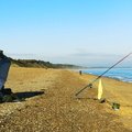 IMG 6074