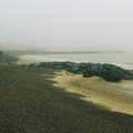 IMG 6081