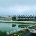 IMG 6091