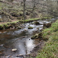 DSC01908