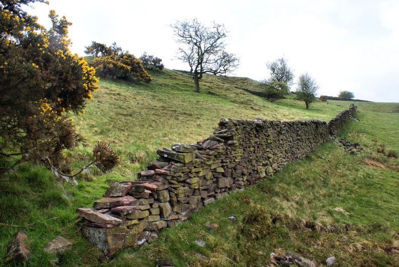 DSC01914.jpg