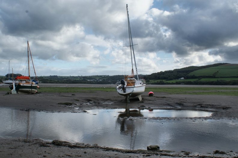 DSC02654.jpg
