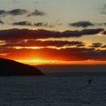 DSC02667