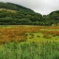 IMG 6581