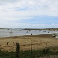 IMG 6598