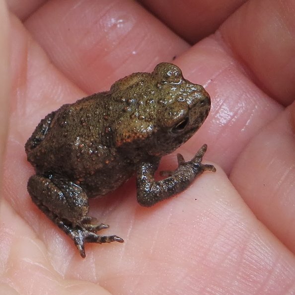 IMG_3273.JPG