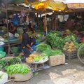 IMG 4527