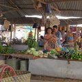 IMG 4531