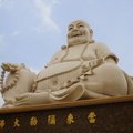 IMG 4541