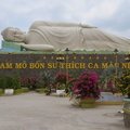 IMG 4542