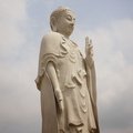 IMG 4550
