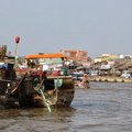 IMG 4690