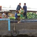 IMG 4691