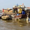 IMG 4696